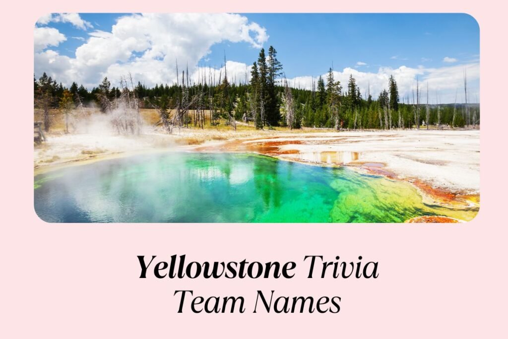 Yellowstone Trivia Team Names | 120+ Cool And Unique Ideas